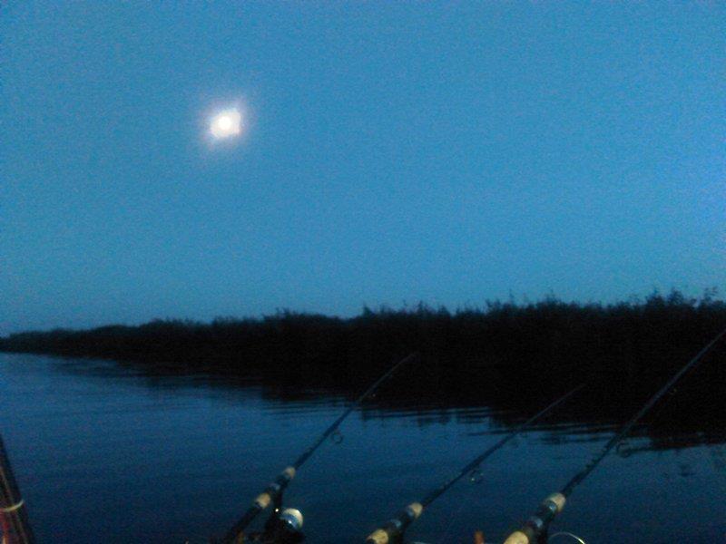 Rosu - Septembrie  2015 - img20150925191911.jpg